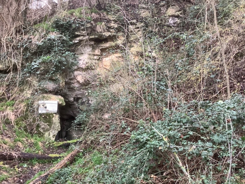 Photo de Bray-et-Lû
