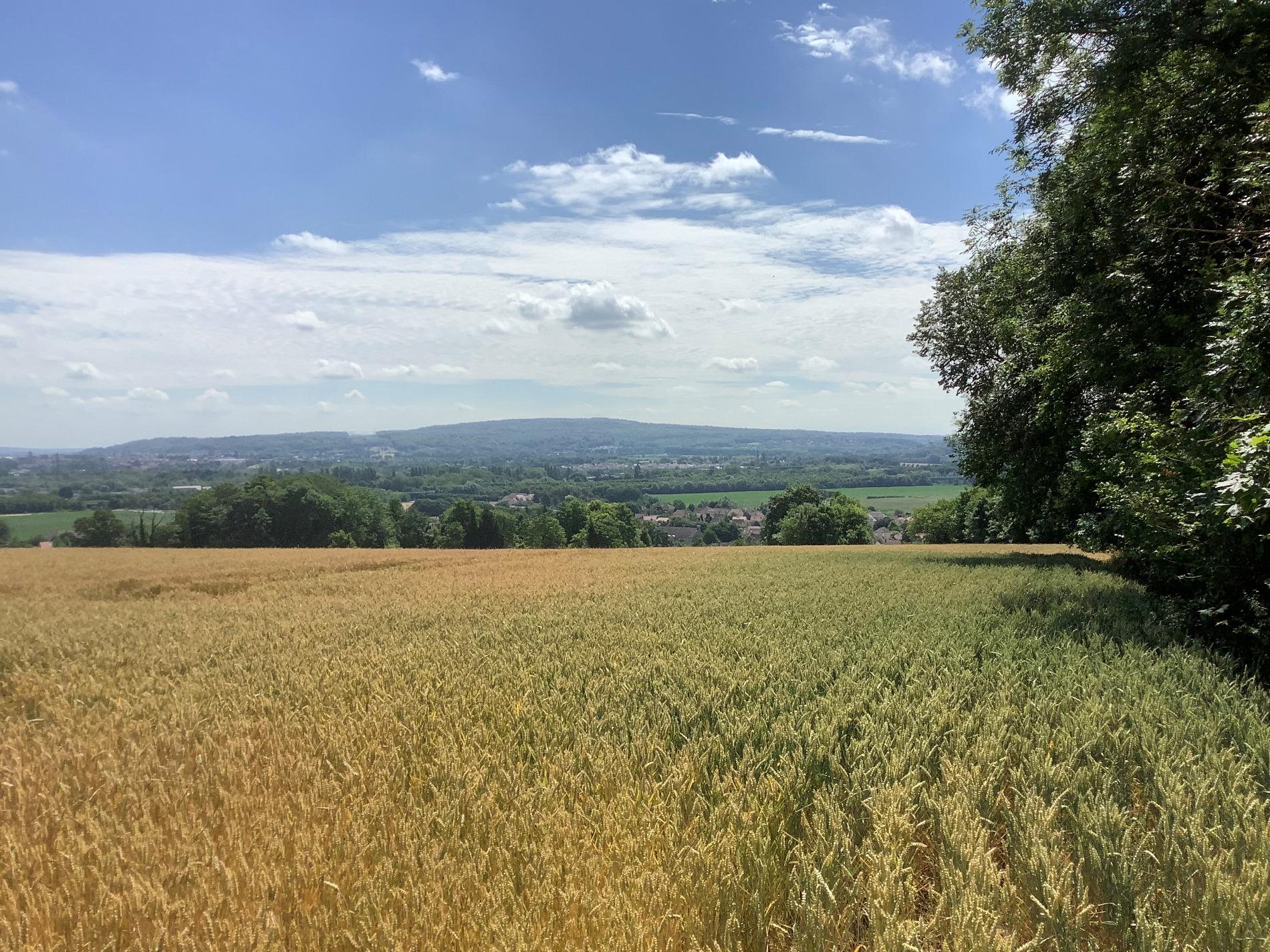 Champagne-sur-Oise