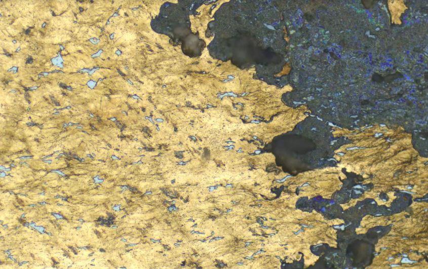 Métallographie d'un des échantillons de la cuirasse de l'Âge du bronze dite de Grenoble - Musée de l'Armée - Paris - 2022 © Anne Lehoërff