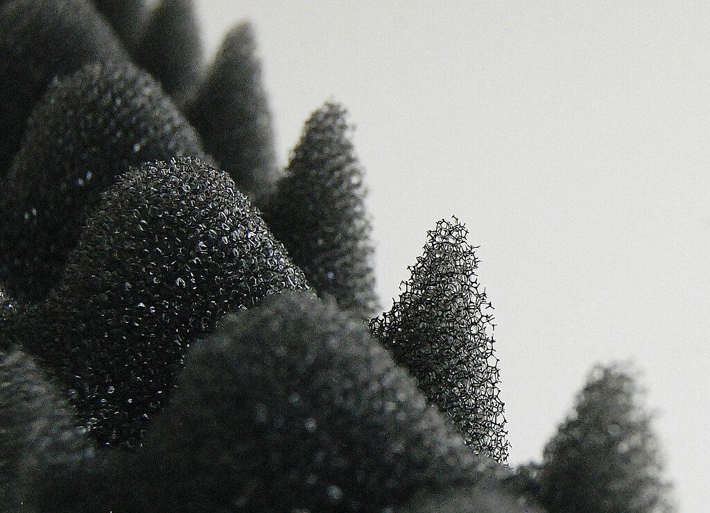 Explorer la fabrication de réseaux organiques 2D à l'interface air-eau