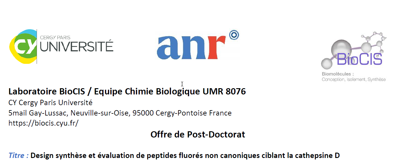 Alerte RECRUTEMENT : Post-Doctorat 12 mois, interface Chimie/Biologie