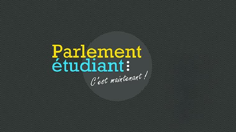 Parlement étudiant, élection des représentants non-élus étudiants