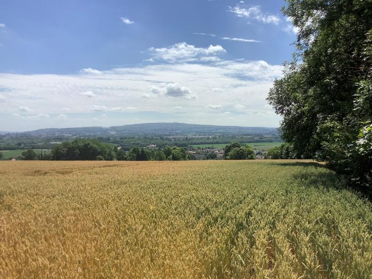 Balade géologique à Champagne-sur-Oise