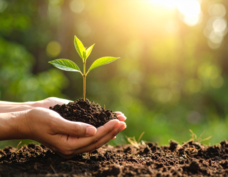 Un métier pour tous, agir pour un monde durable
