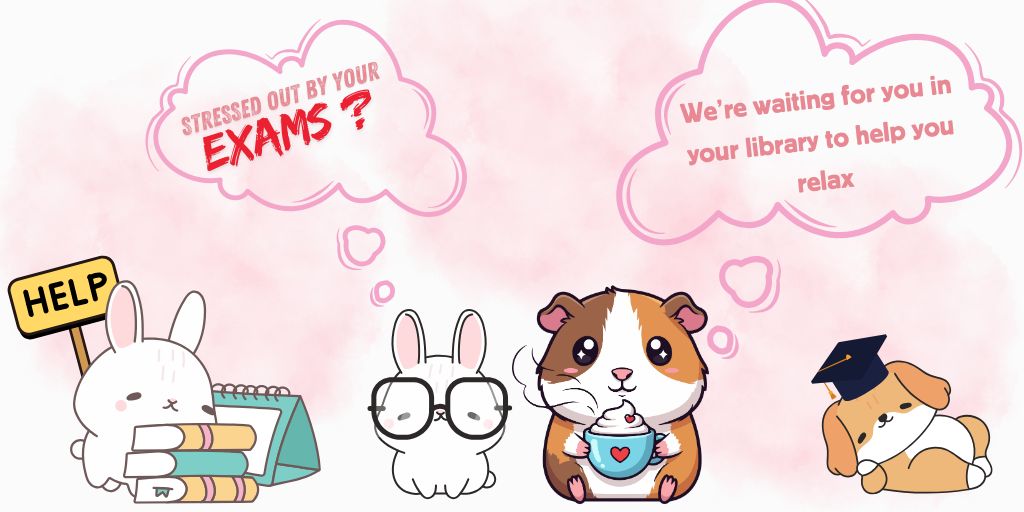 Animal workshops to relax before your exams in you CY libraries