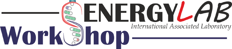 1er Workshop SENERGYLAB sur les avancées récentes dans les capteurs et les applications énergétiques