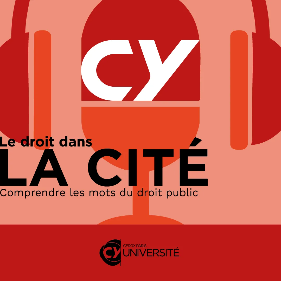 Le droit dans la cité